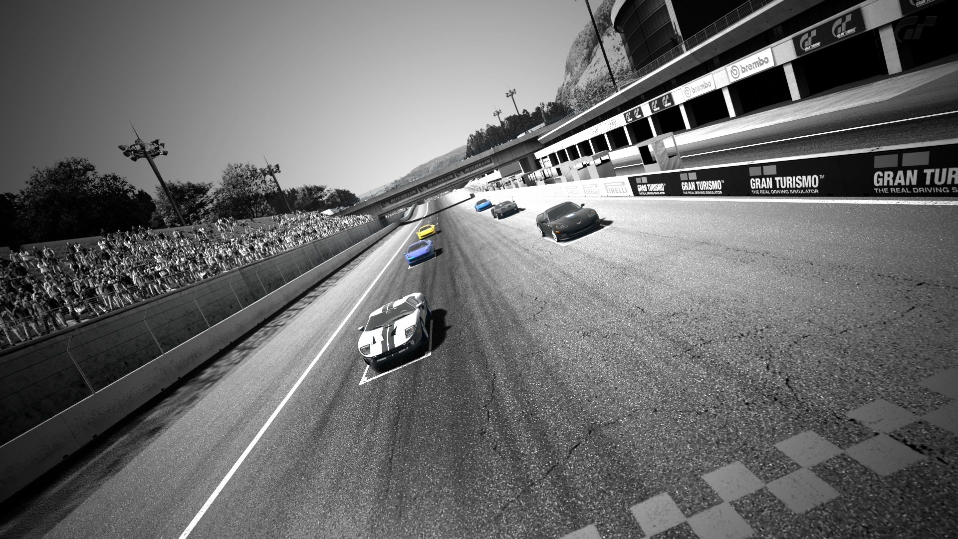 Deep Forest Raceway.jpg