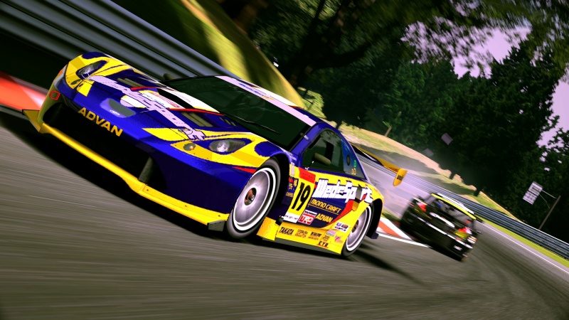 Deep Forest Raceway_1.jpg