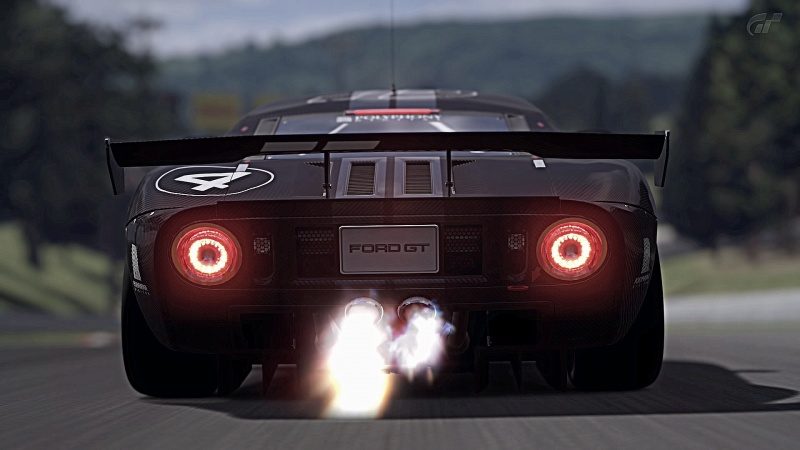 Deep Forest Raceway_1.jpg