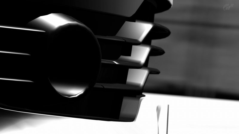 Deep Forest Raceway_16.jpg