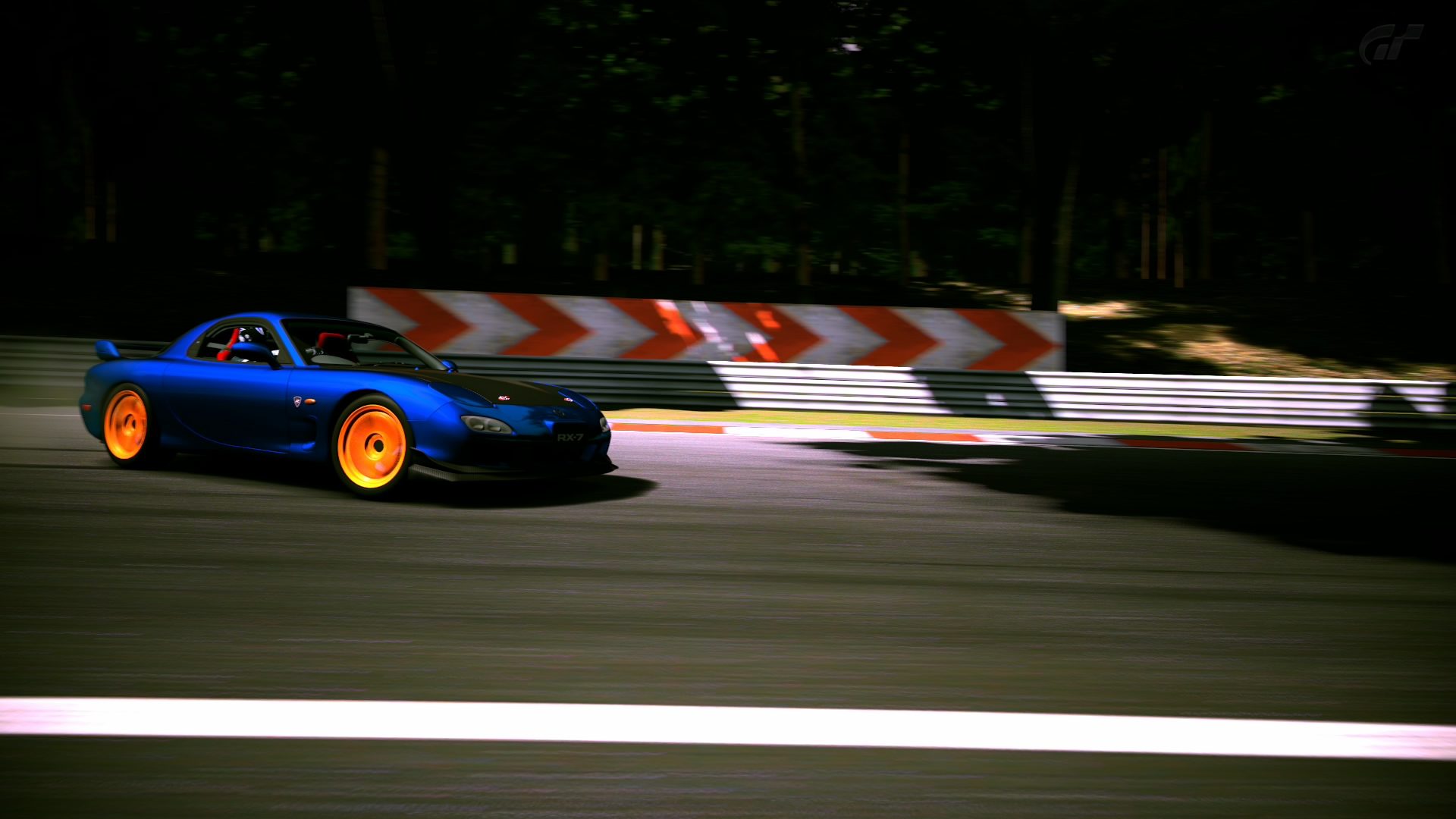 Deep Forest Raceway_19.jpg