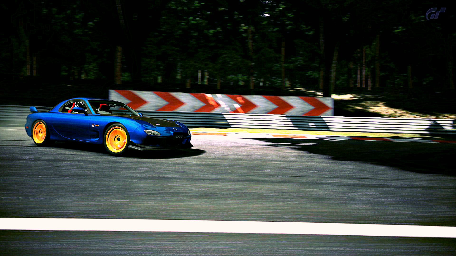 Deep Forest Raceway_19_2.jpg