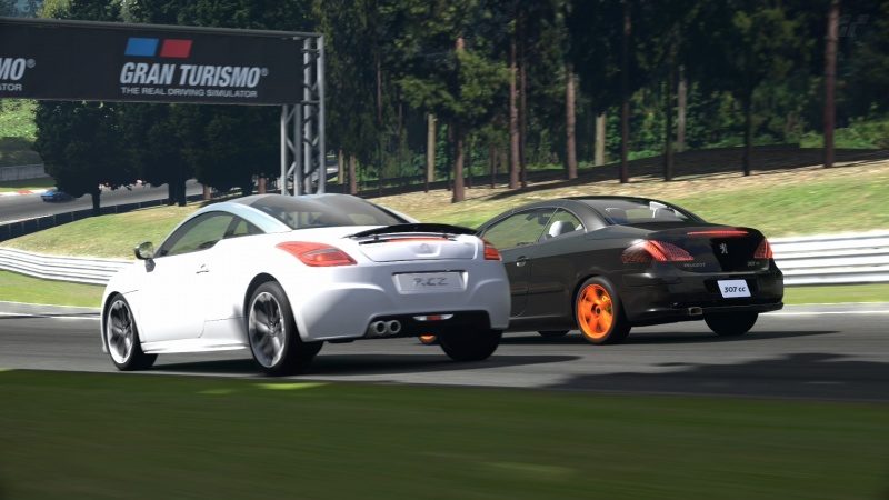 Deep Forest Raceway_2.jpg