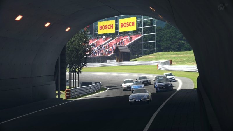 Deep Forest Raceway_2.jpg