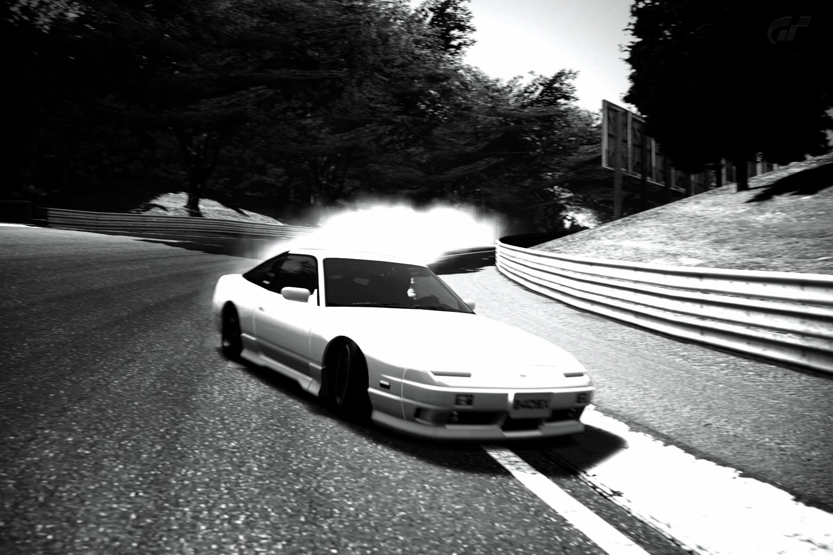 Deep Forest Raceway_2.jpg