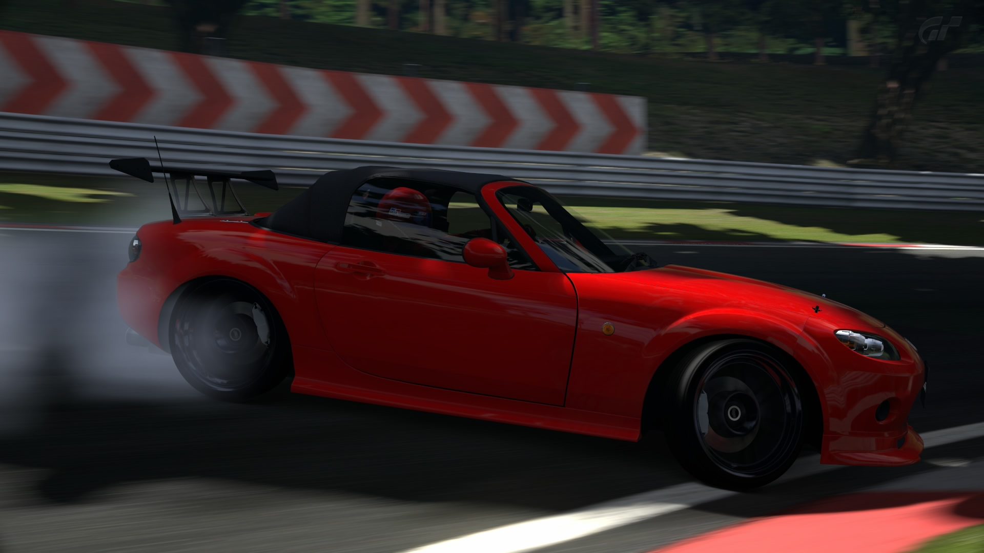 Deep Forest Raceway_2.jpg