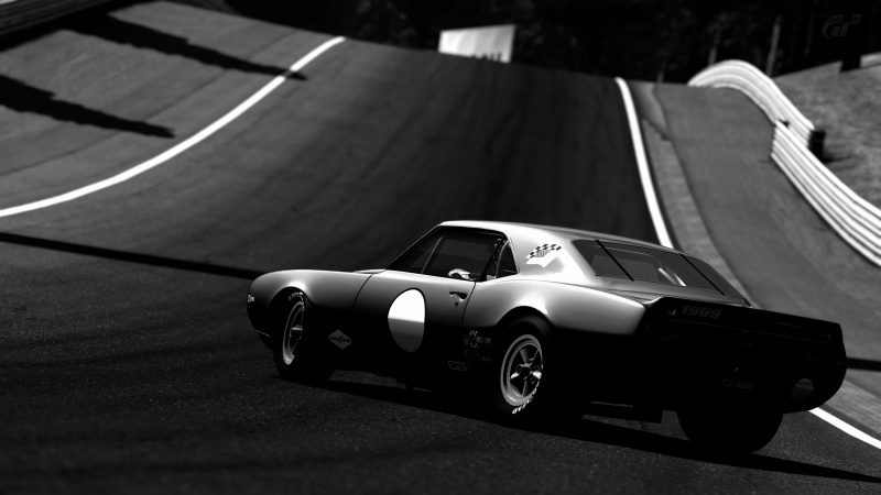 Deep Forest Raceway_4.jpg