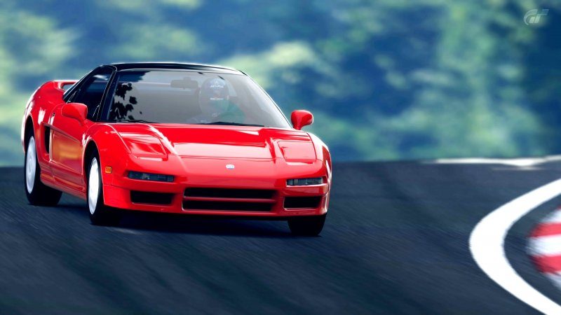 Deep Forest Raceway_5.jpg