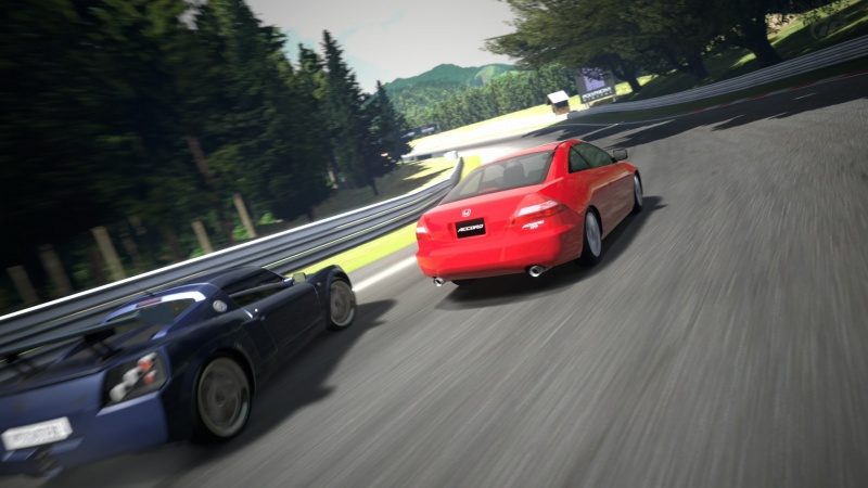 Deep Forest Raceway_6.jpg
