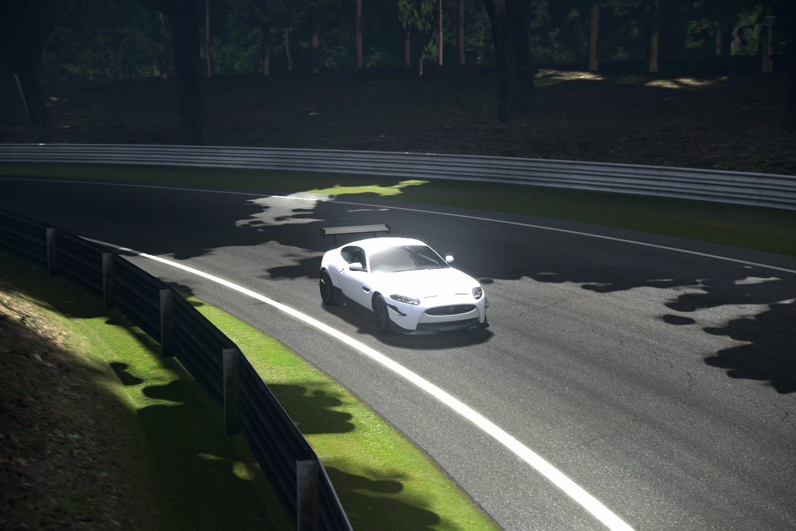 Deep Forest Raceway_6.jpg