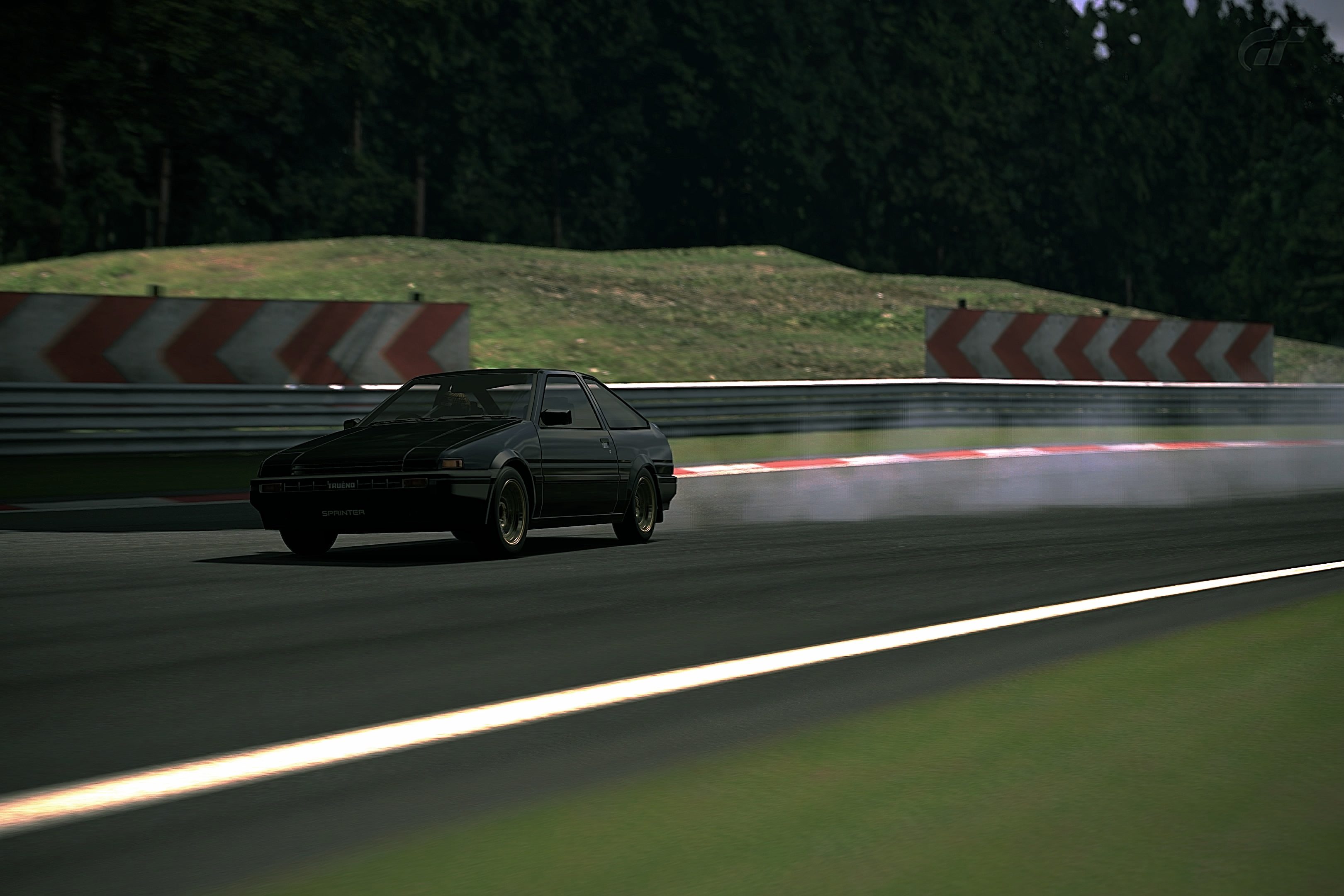 Deep Forest Raceway_7.jpg