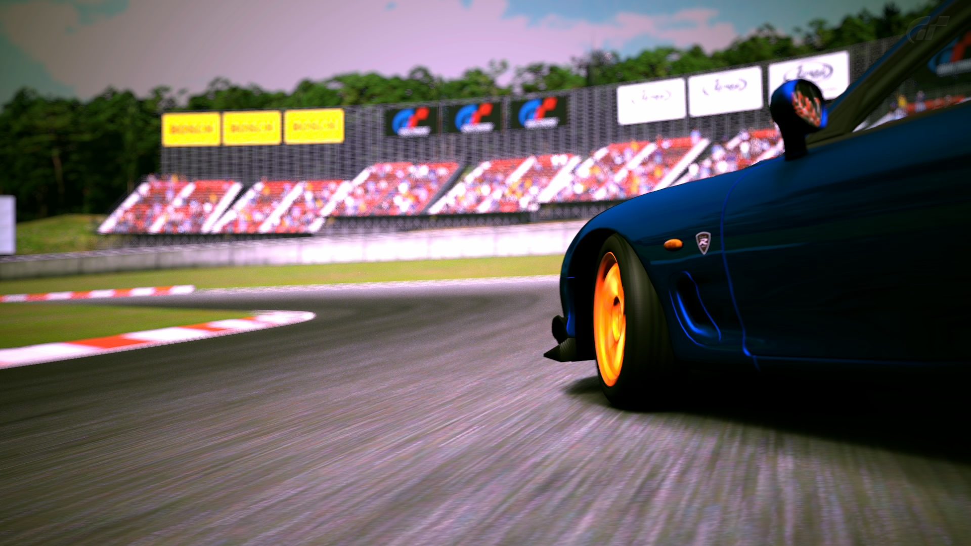 Deep Forest Raceway_7.jpg
