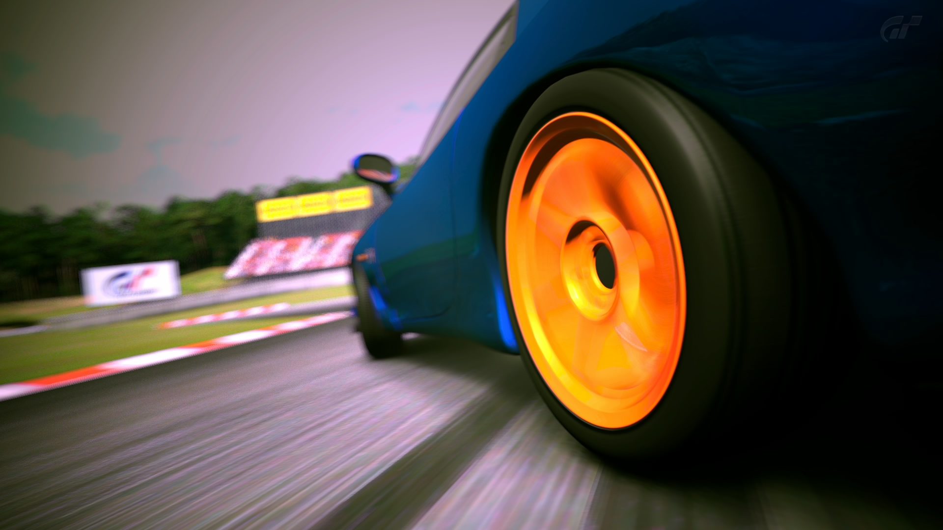 Deep Forest Raceway_8.jpg