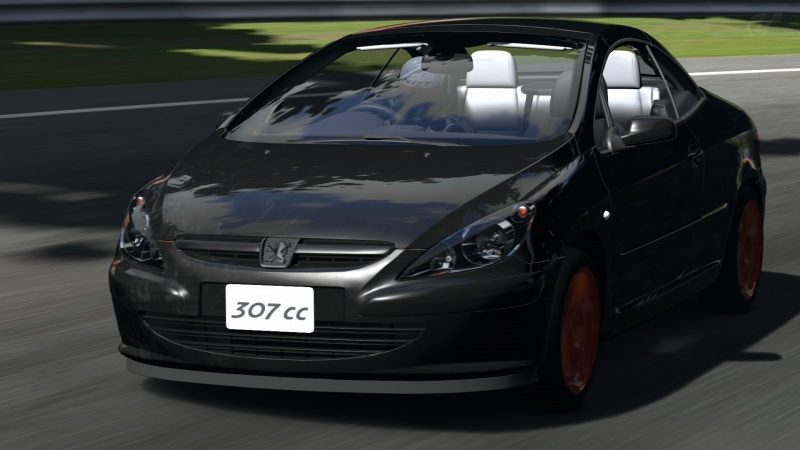Deep Forest Raceway_9.jpg