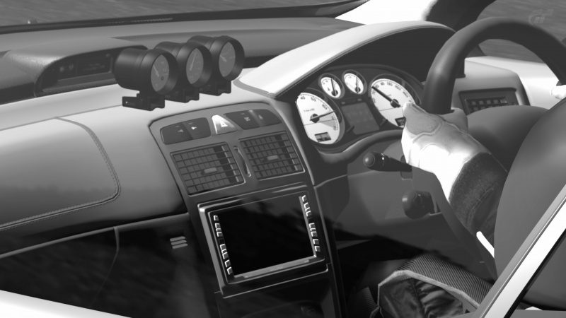 Deep Forest Raceway_9.jpg