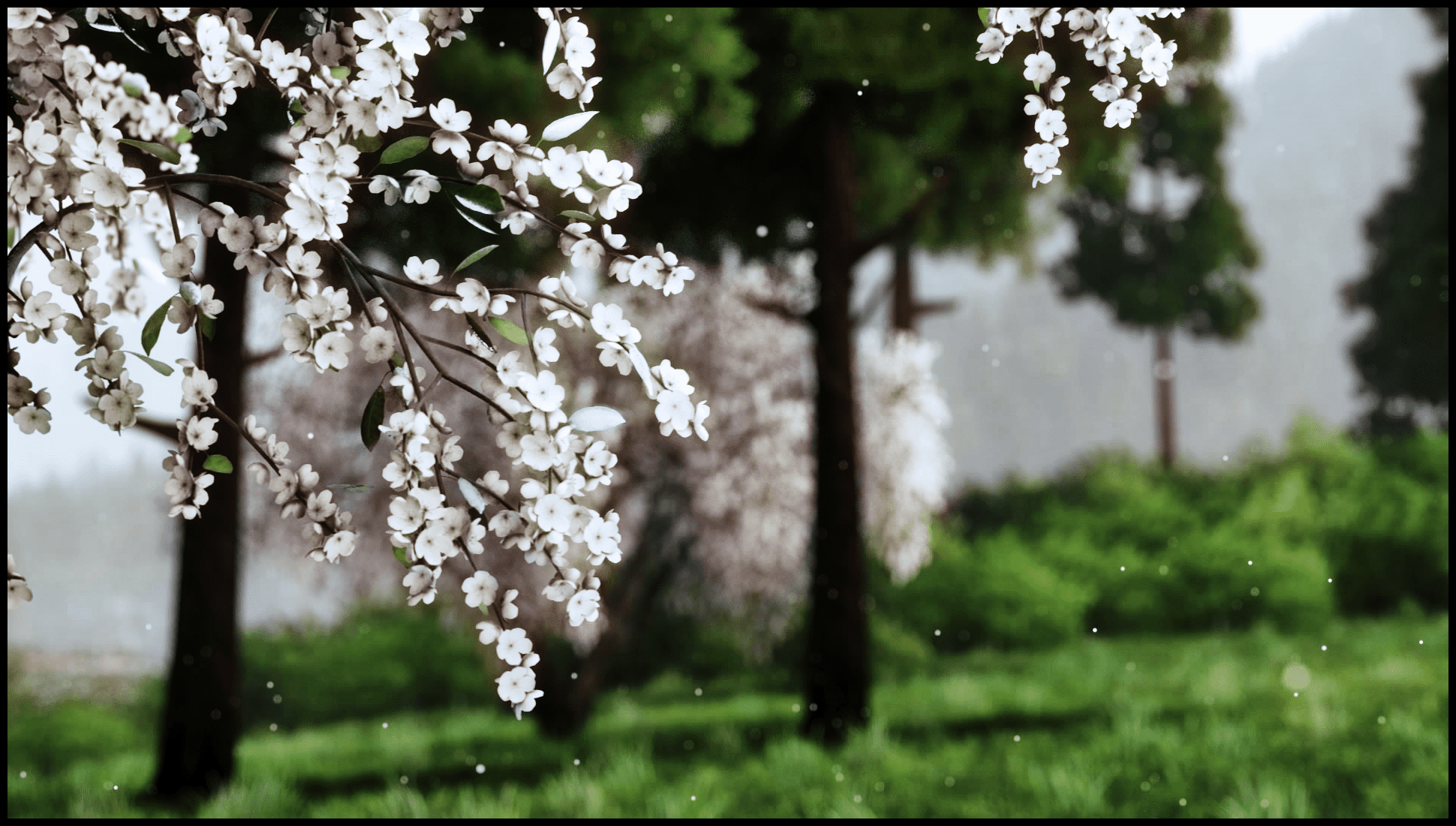 DRIVECLUB™ Blossum
