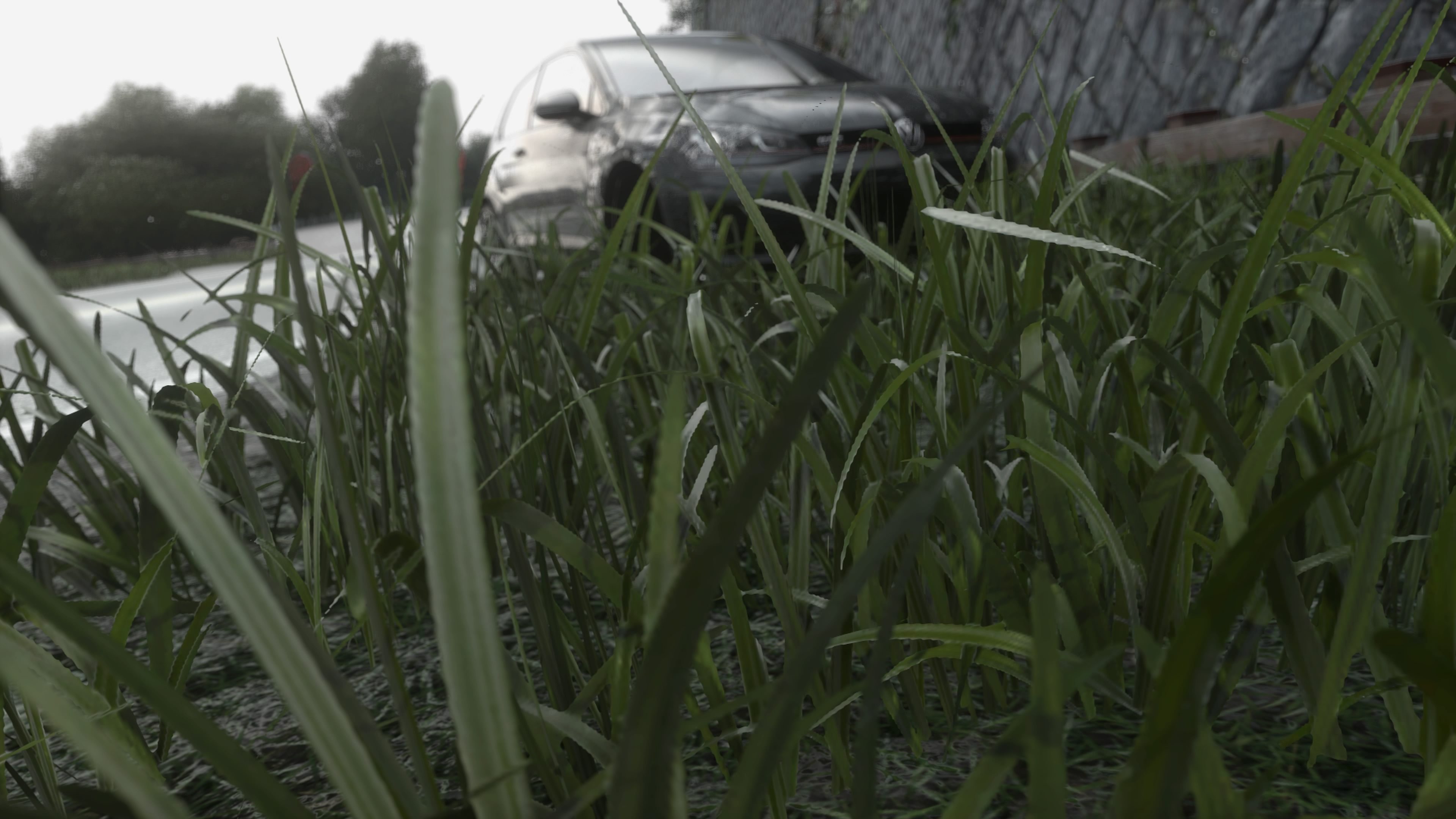 DRIVECLUB™_20181201221329