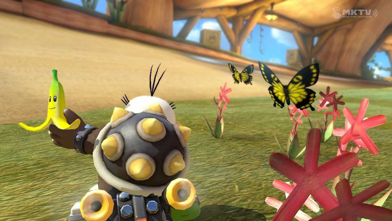 Driving with Butterflies.