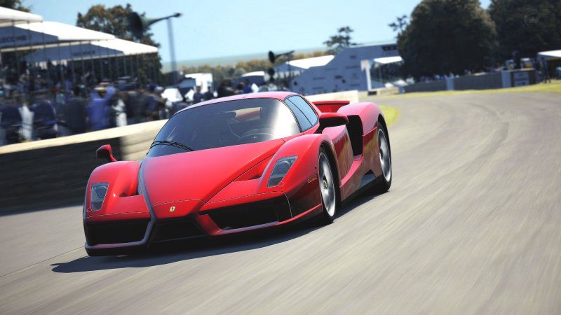 Enzo_02.jpg