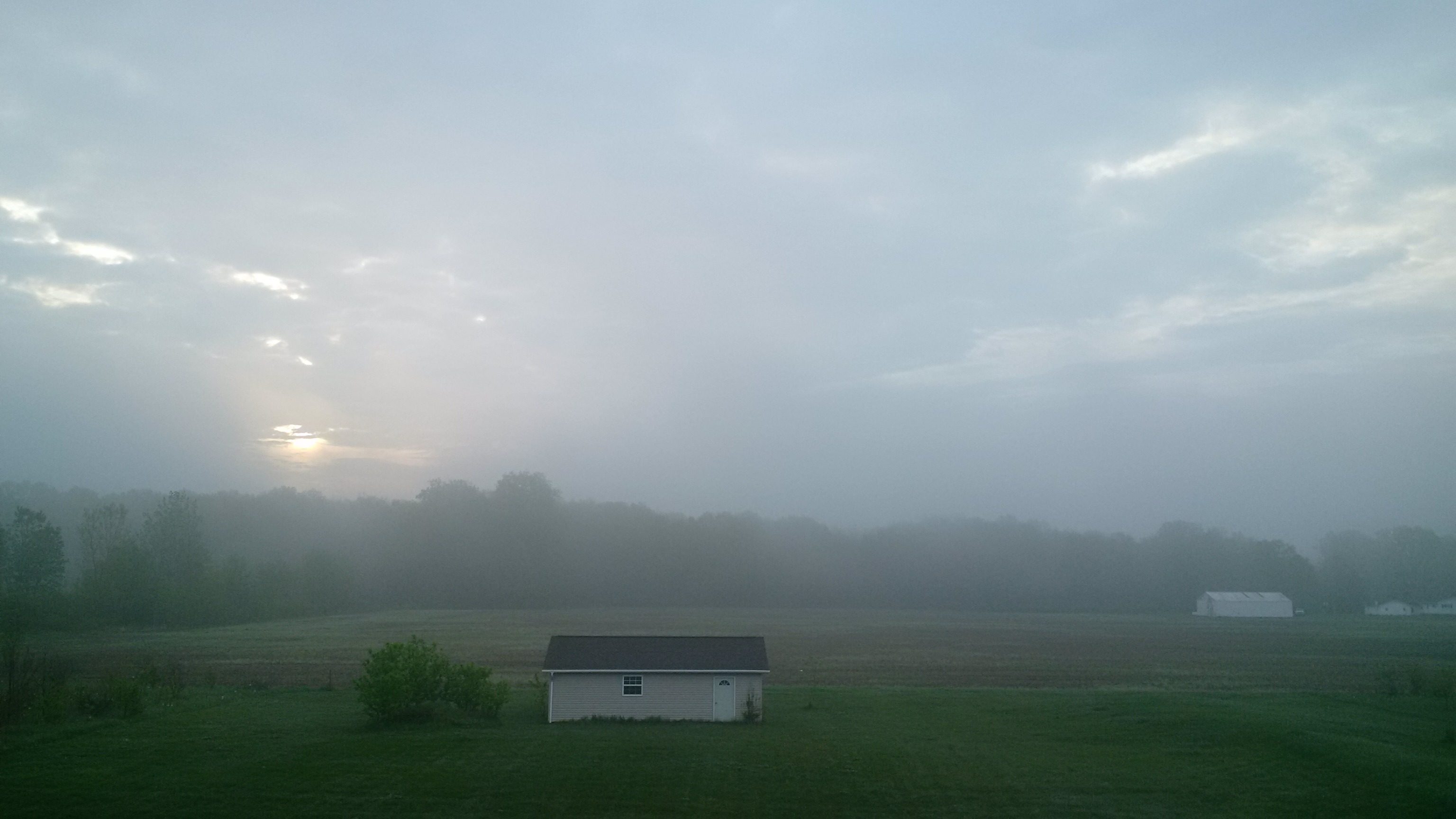 Foggy morning // Whittaker, Michigan