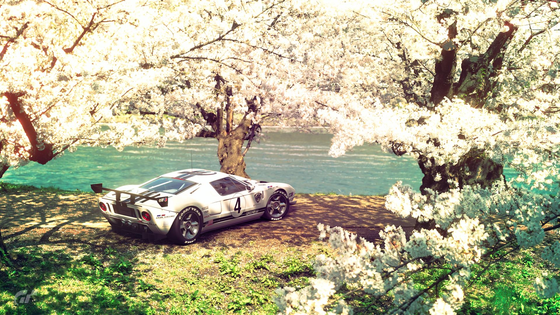 Ford GT Under Blossom