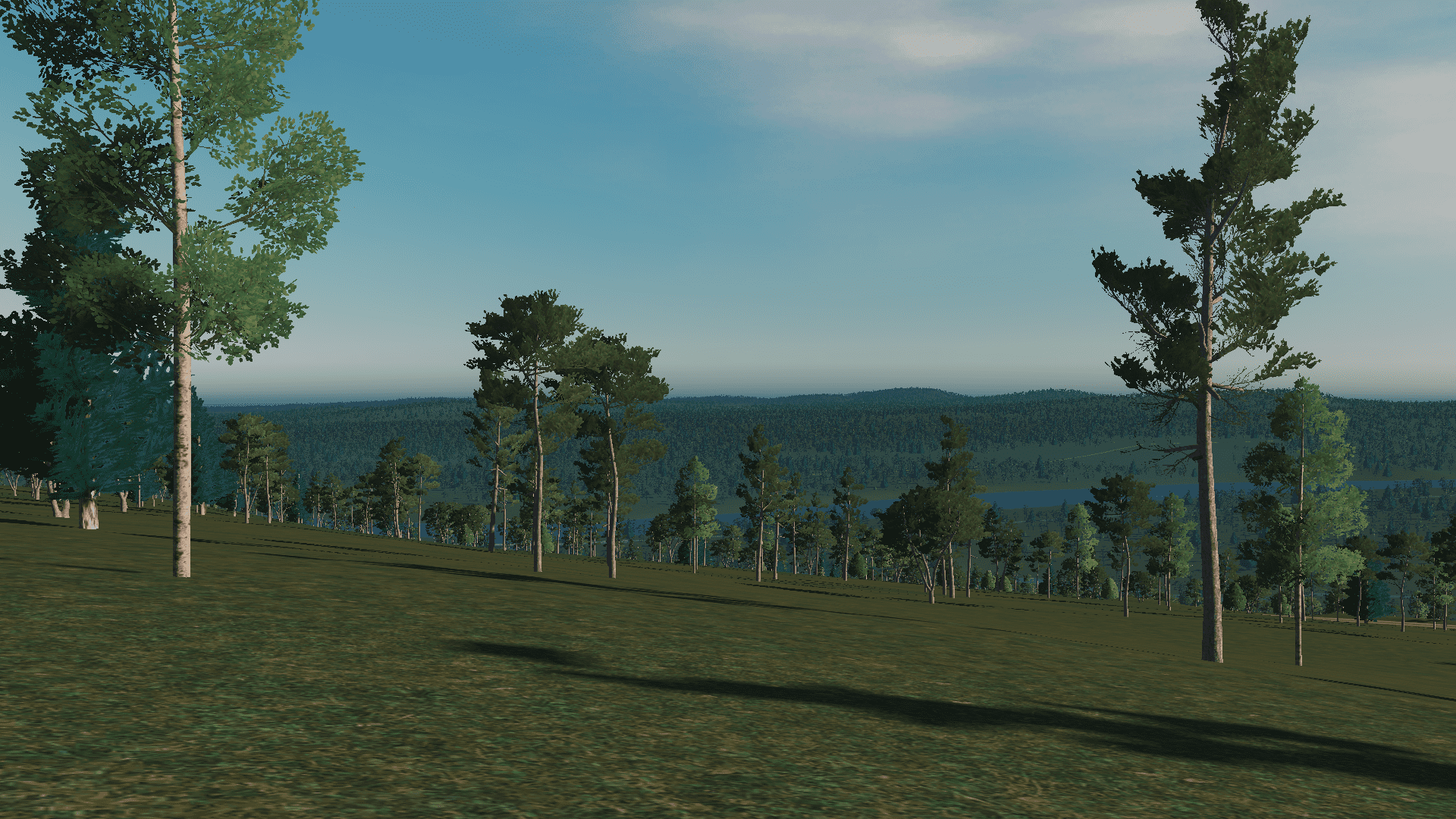 Forest 2