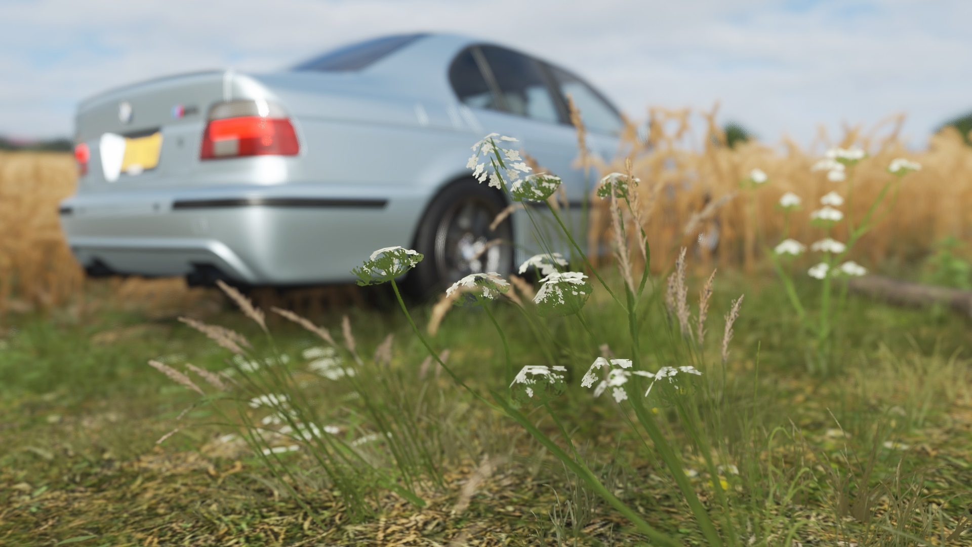 Forza Horizon 4 2020-08-01 16-17-21