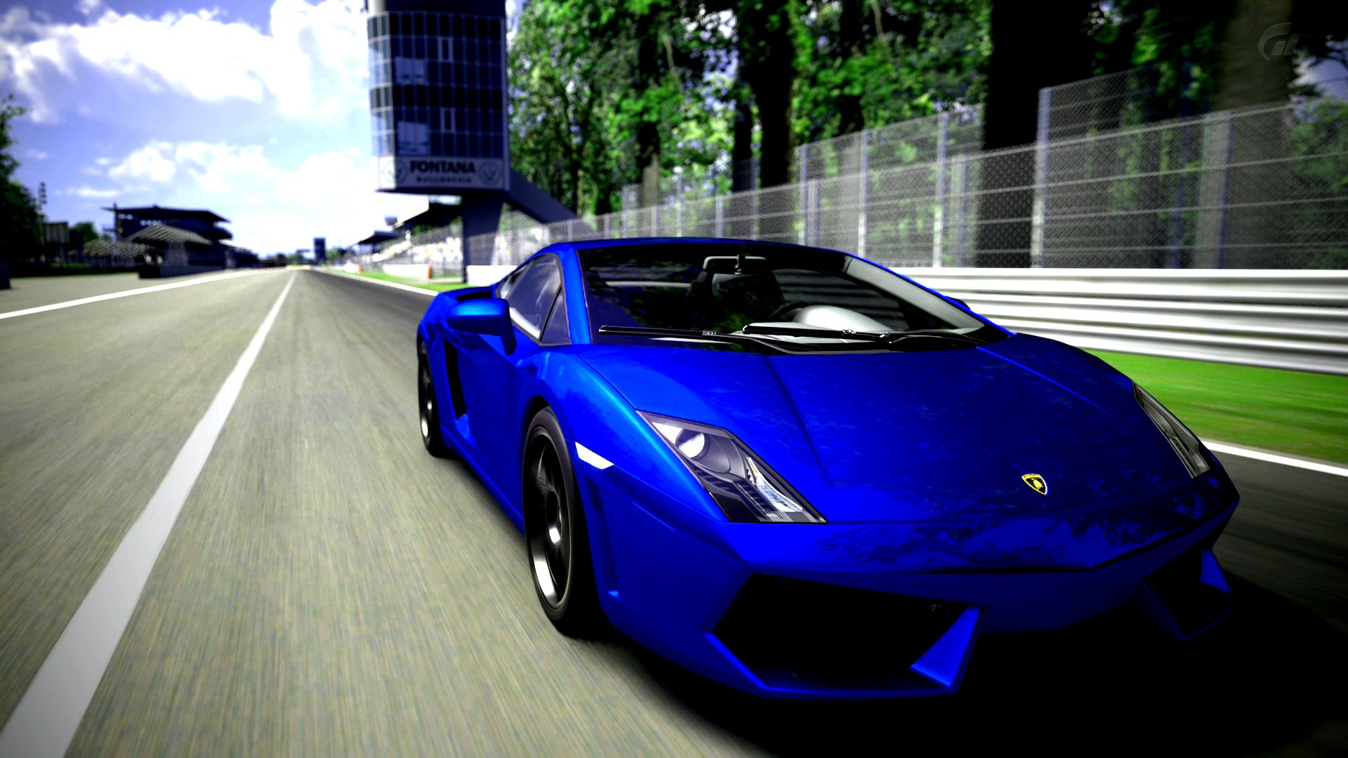 gallardo 2.jpg