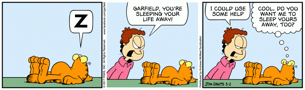 Garfield strip