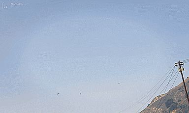 (GIF) Fun in the Zancudo sun