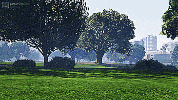 (GIF) Golfing these days has been quite a riot when a certain judge gets their share of vehicular manslaughter
