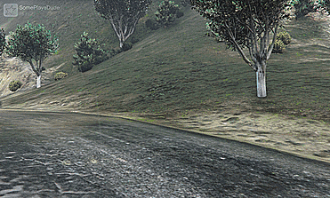(GIF) RS Roughriding the back of El Burro