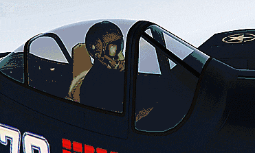 (GIF) Tamed racing animal "The Guts" tries a hand at flying the P-45 Nokota
