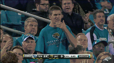 (GIF) The incredulous Jaguars fan