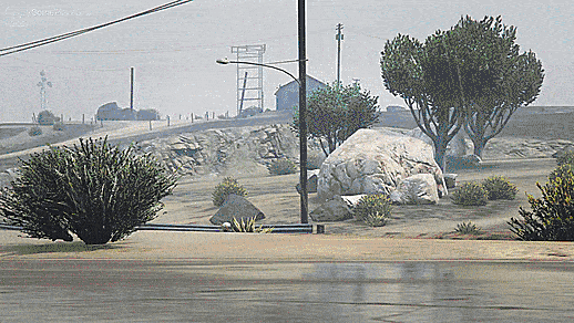 (GIF) The synchronized snipe