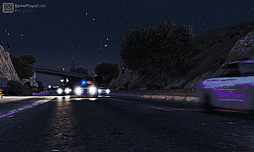 (GIF) To prove that tamed racing animal "The Guts" and his Seminole are legit, here's him and his 'buddies' escaping the police after said drag race