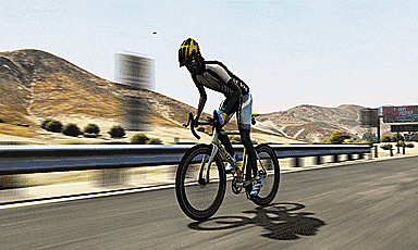 (GIF) Trained endurance rider VS Tamed racing animal
