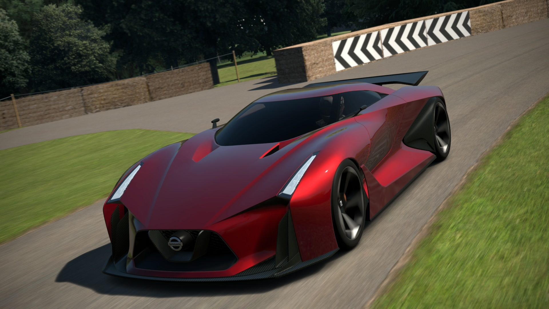 Goodwood Hillclimb 2014_1.jpg