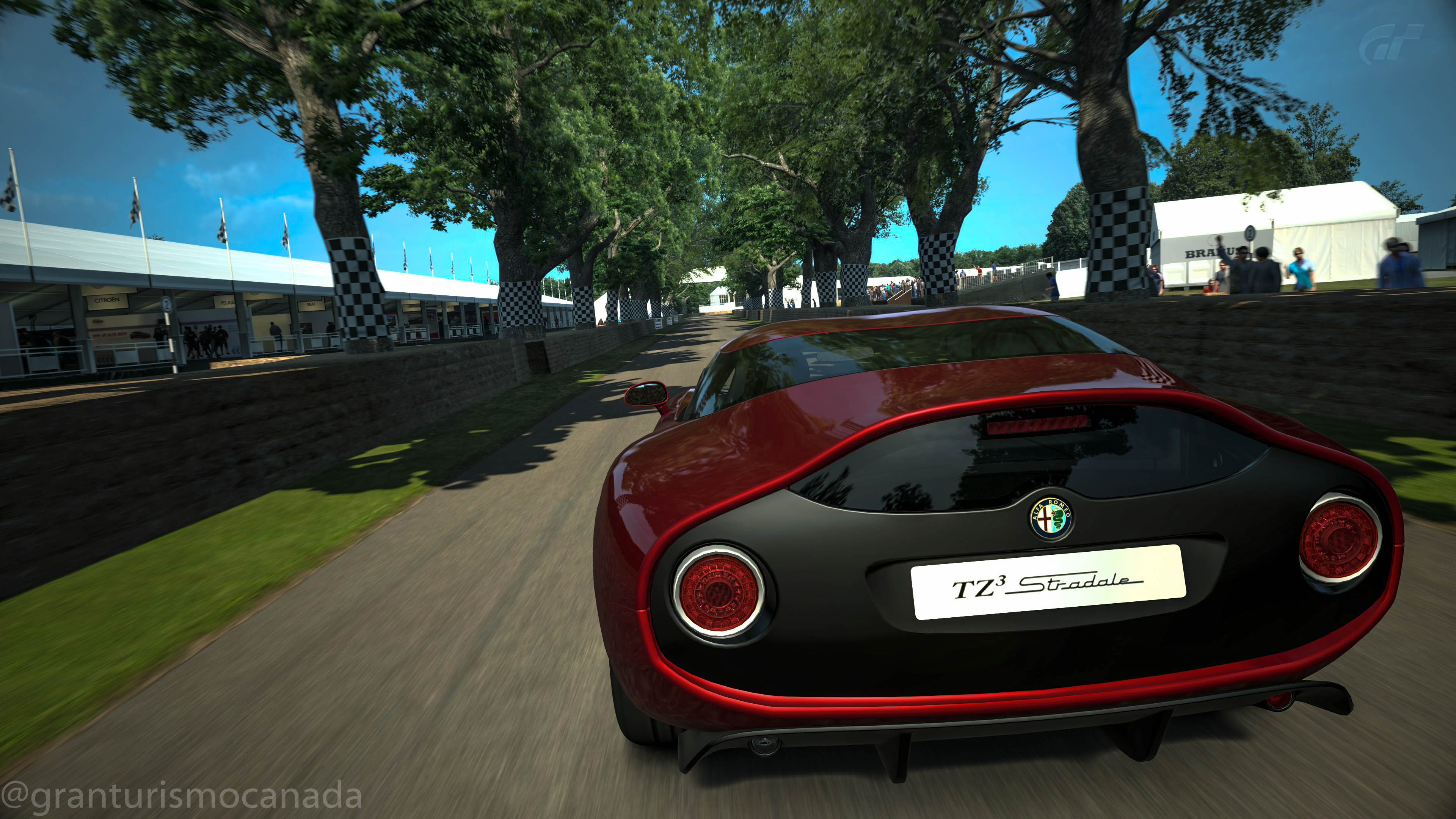 Goodwood Hillclimb 2014_1.jpg