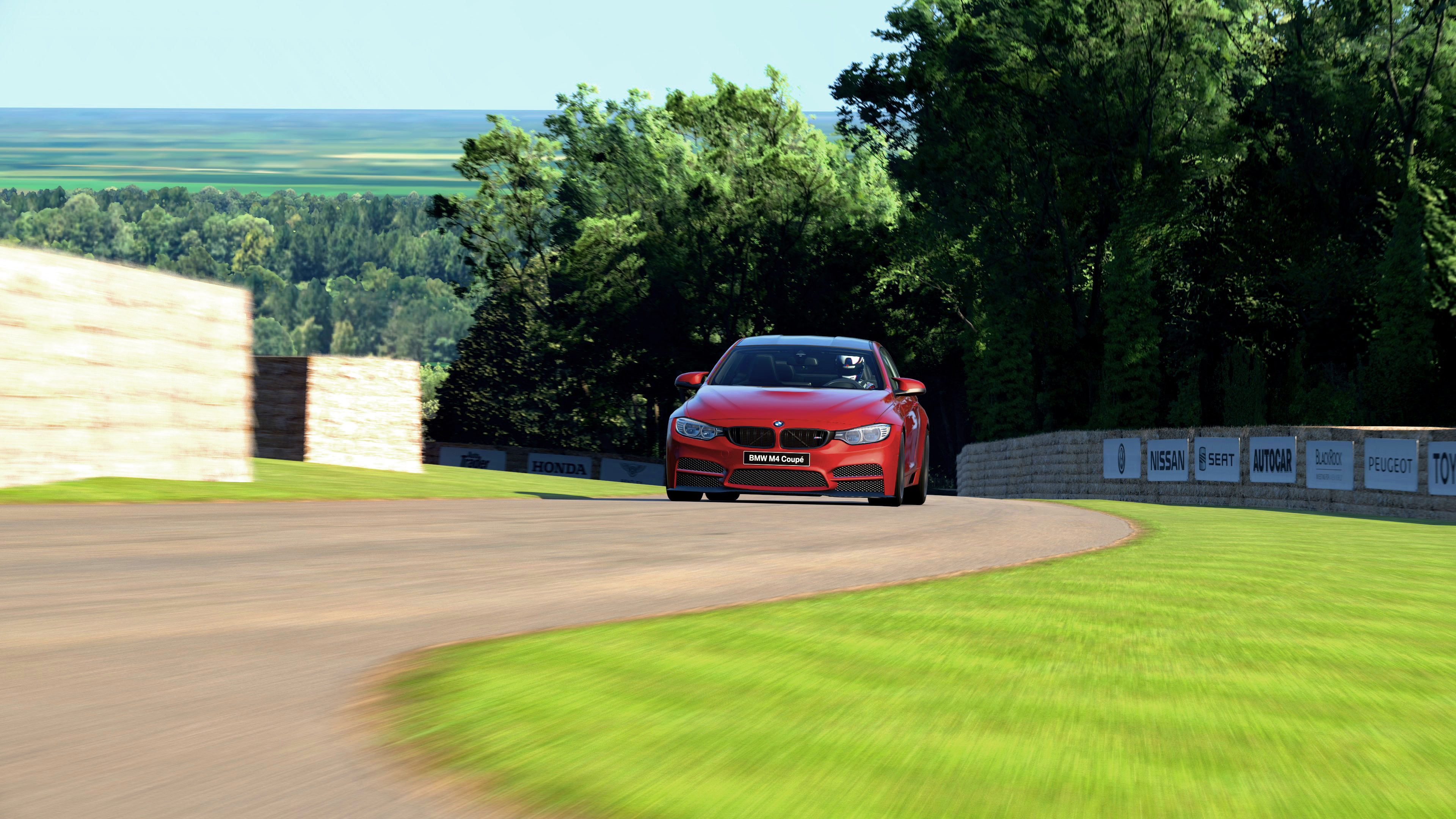 Goodwood Hillclimb 2014_2 (2)edit.jpg