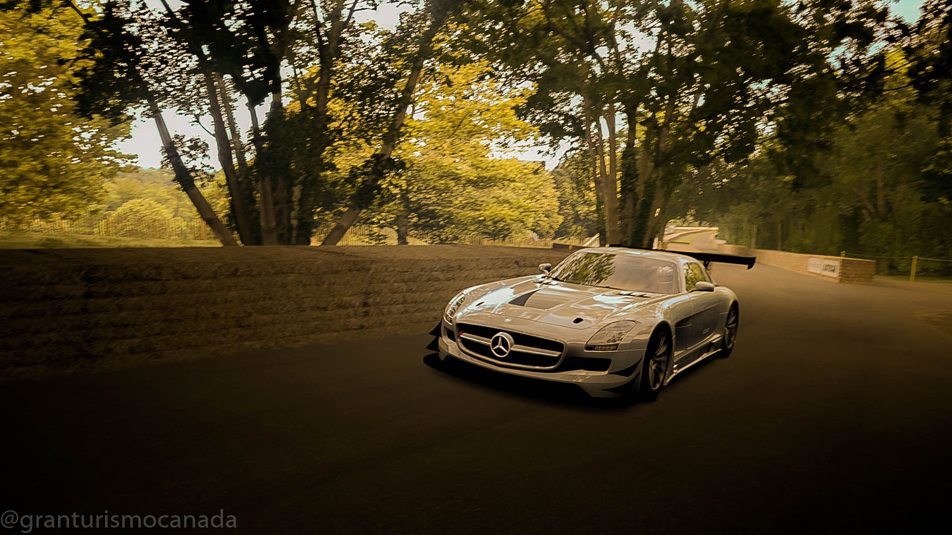 Goodwood Hillclimb 2014_2.jpg