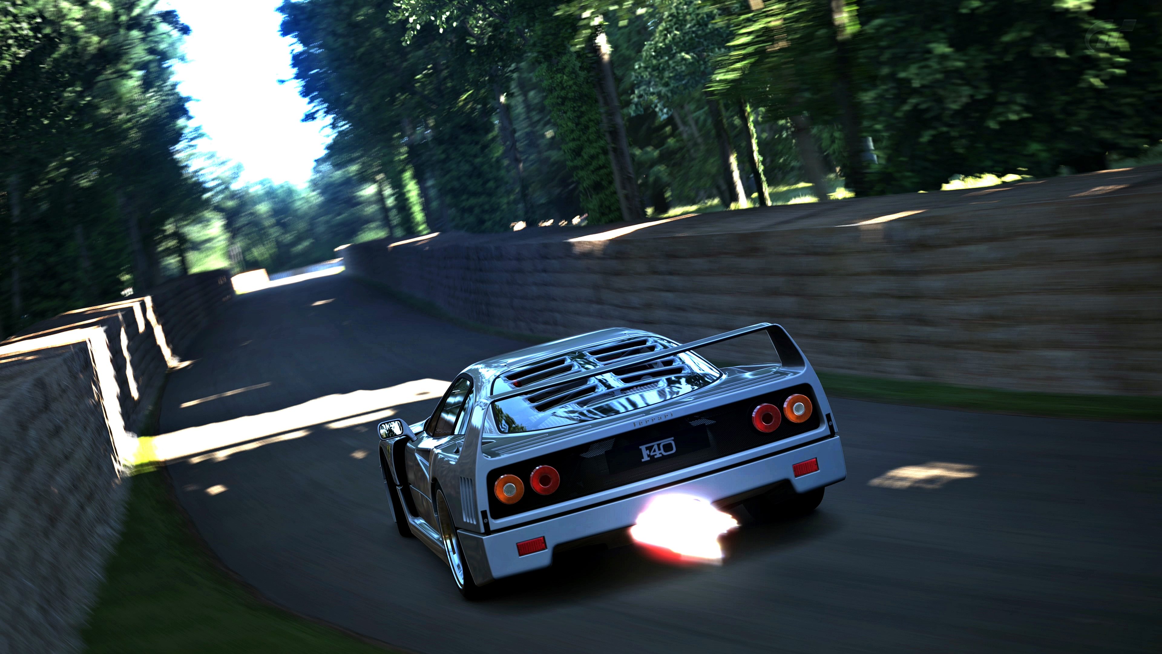 Goodwood Hillclimb 2014_2.jpg