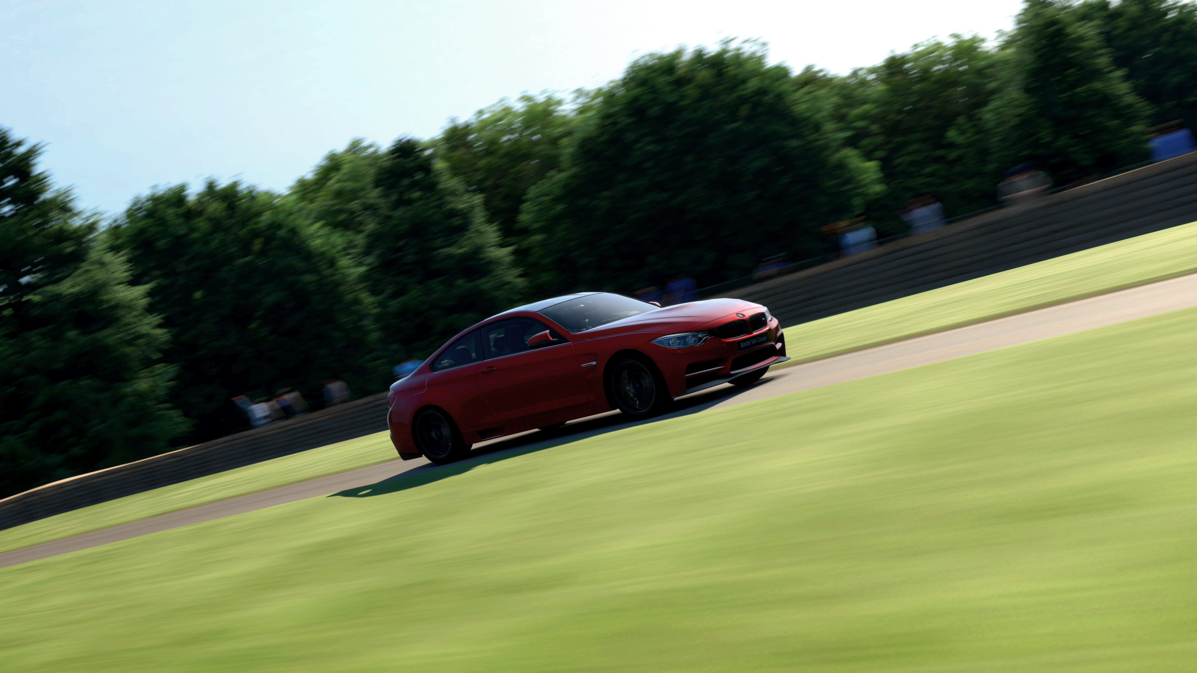 Goodwood Hillclimb 2014_3 (2)edit.jpg