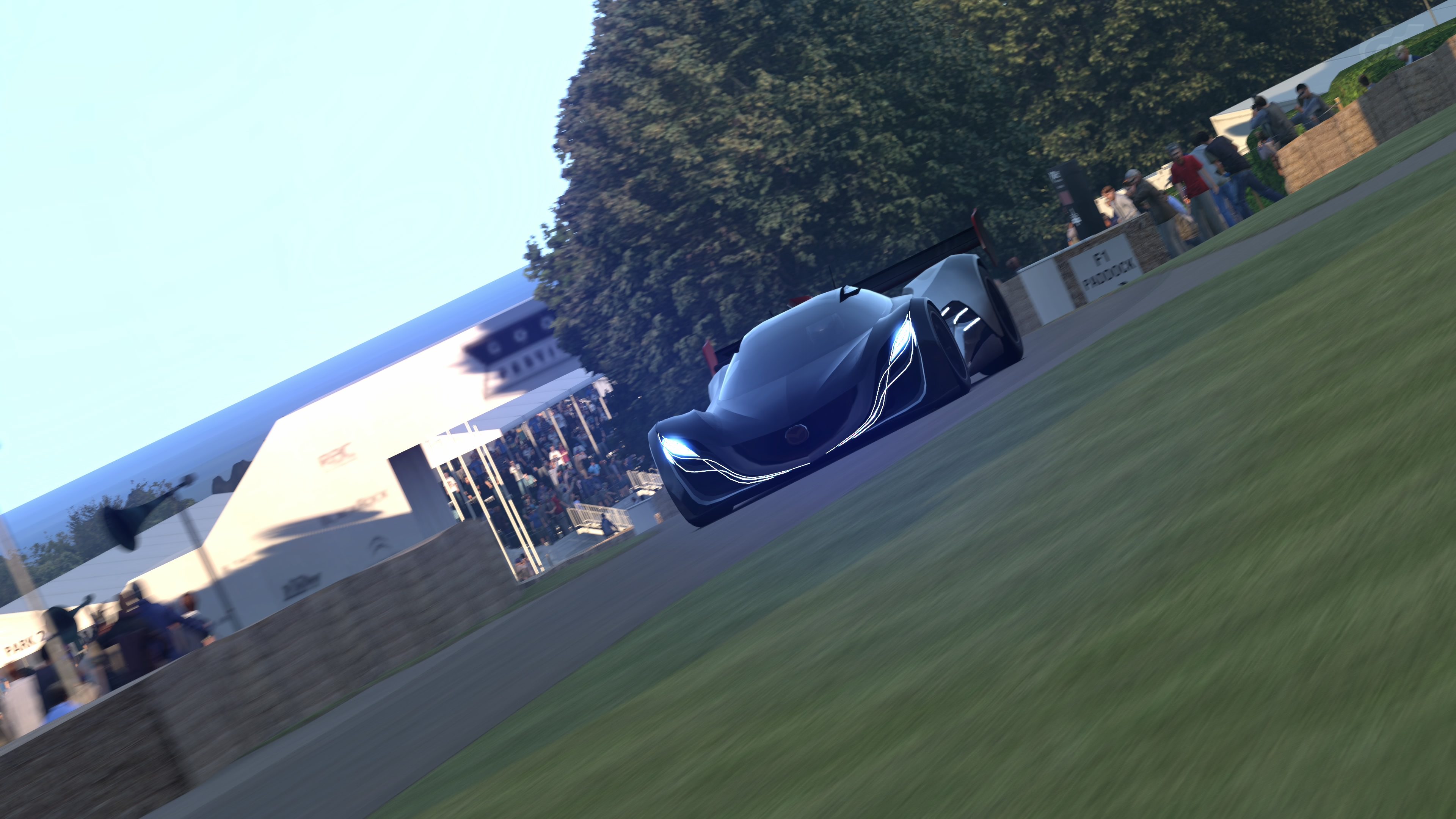 Goodwood Hillclimb 2014_3.jpg