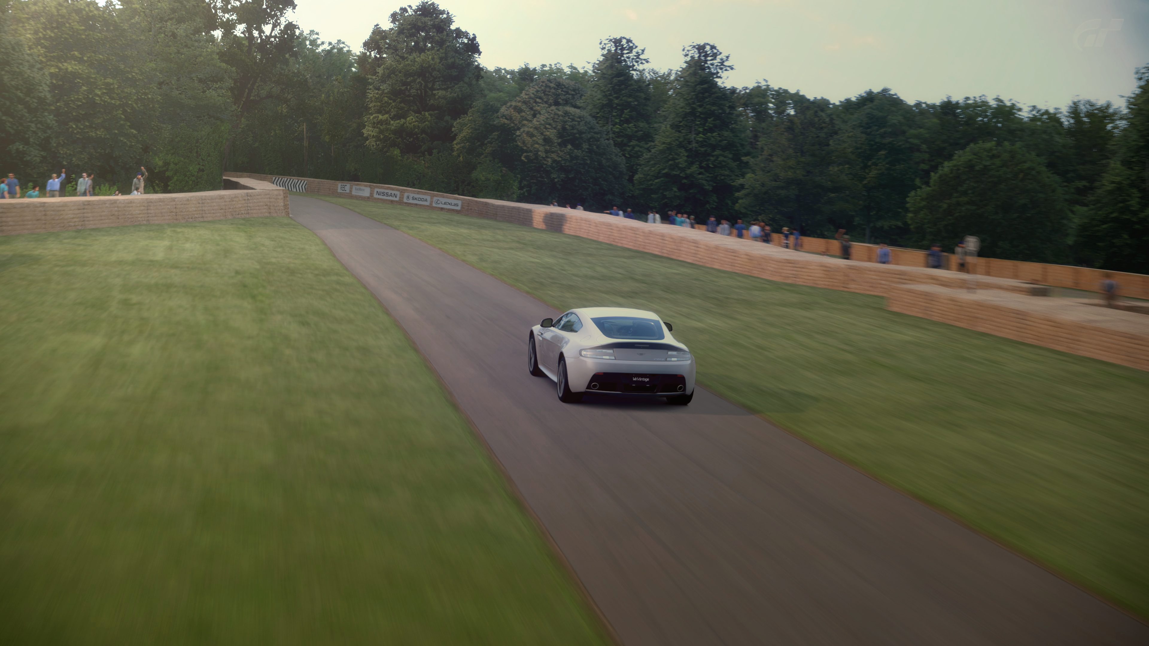 Goodwood Hillclimb 2014_6edit.jpg