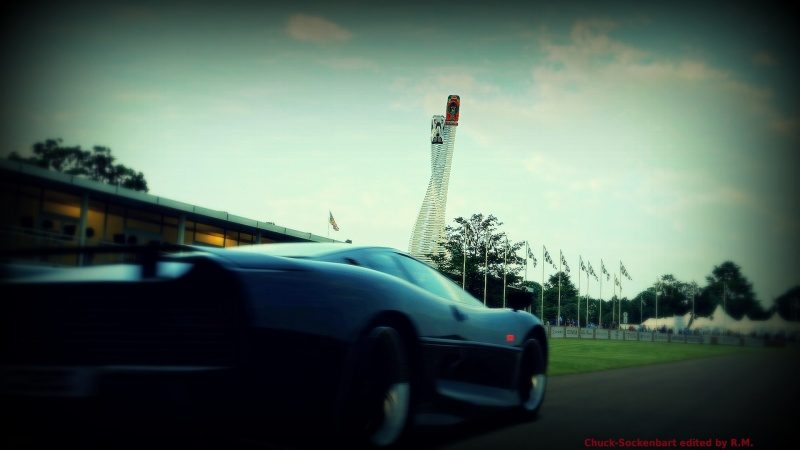 Goodwood Hillclimb 2015_3.jpg