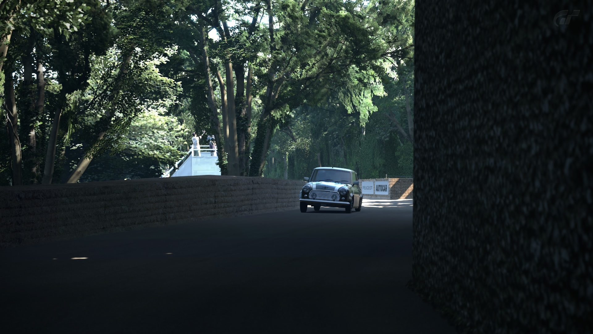 Goodwood Hillclimb 2015_4