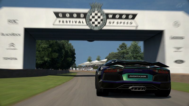 Goodwood Hillclimb 2015_46.jpg