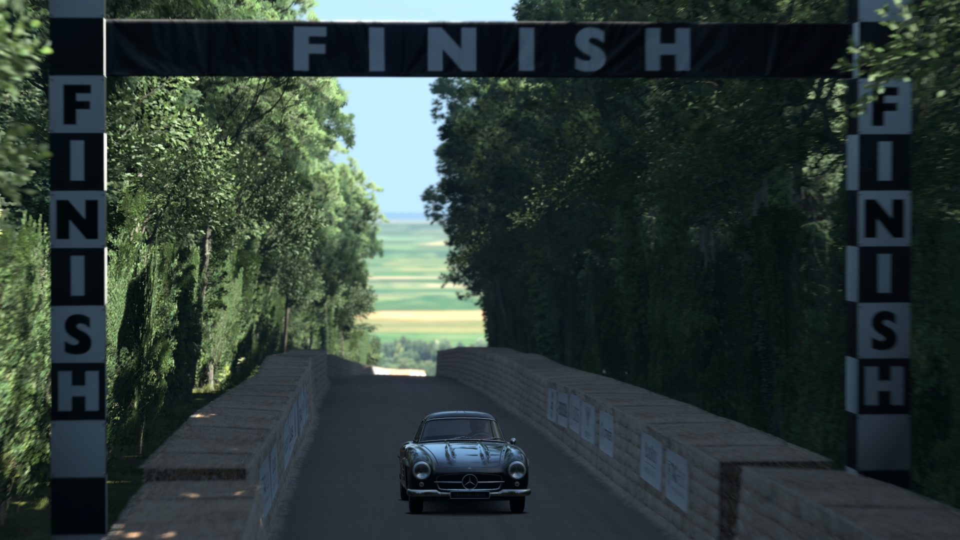 Goodwood Hillclimb 2015_9