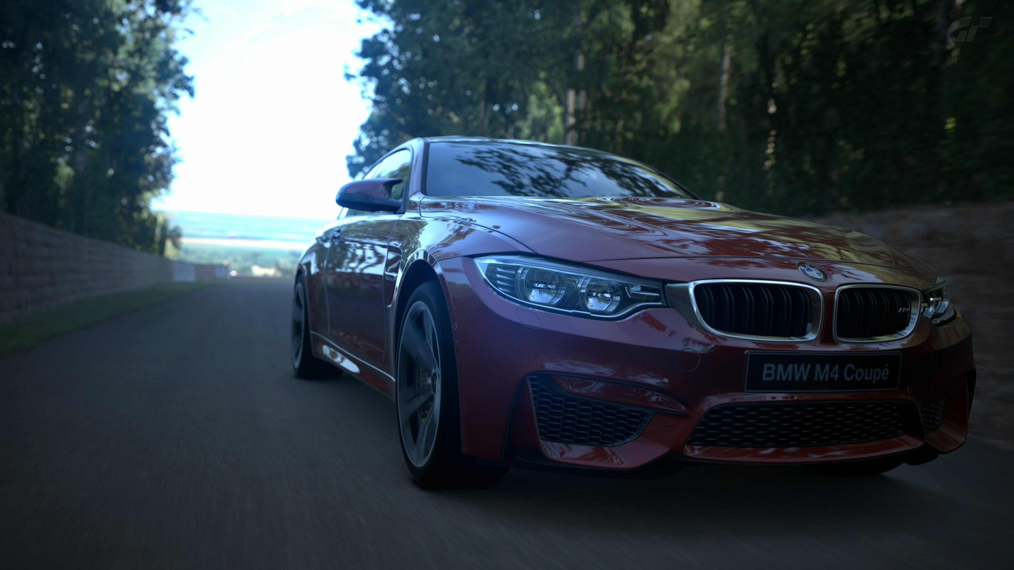 Goodwood Hillclimb.jpg